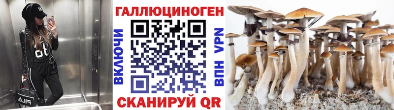 что такое наркотик  Благовещенск  KRAKEN сайт  Псилоцибиновые грибы Psilocybine cubensis 